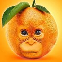 dokenz's Twitch profile picture