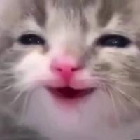 dolgaya's Twitch profile picture