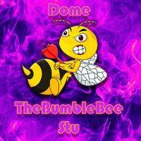 dome_thebumblebee_stu's Twitch profile picture