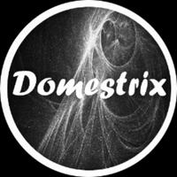 domestrix's Twitch profile picture