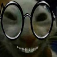 donilool's Twitch profile picture