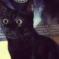 drasah_x's Twitch profile picture