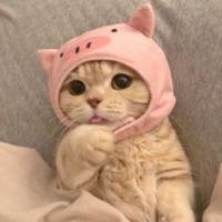 drizzicuhhhhh's Twitch profile picture