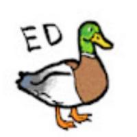 duckedgtnh's Twitch profile picture