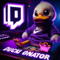 duckionator's Twitch profile picture