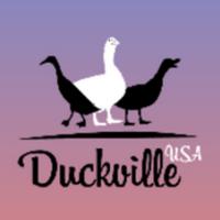 duckvilleusa's Twitch profile picture