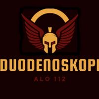 duodenoskopi's Twitch profile picture