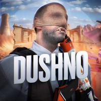 dusshnila's Twitch profile picture