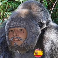 duuruk's Twitch profile picture