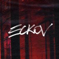 eck0v's Twitch profile picture