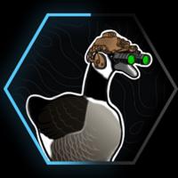 ehcanadien's Twitch profile picture