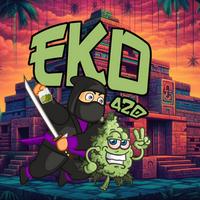 eko_420's Twitch profile picture