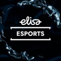 elisaviihdesport's Twitch profile picture