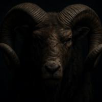 elkarnero's Twitch profile picture