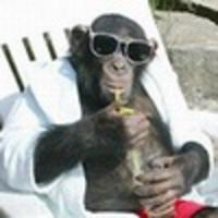 elmirajasekkxs's Twitch profile picture
