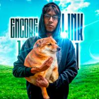 encorelink11's Twitch profile picture