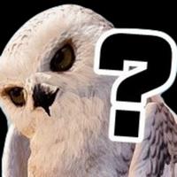 eric88911's Twitch profile picture