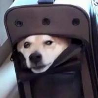 ericandowen's Twitch profile picture
