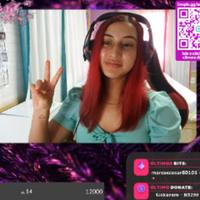 erikaaraujoo's Twitch profile picture