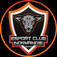 esportclubnormandie's Twitch profile picture