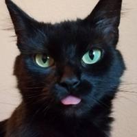 eternal_grudge's Twitch profile picture