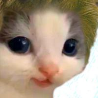 etozhewilli's Twitch profile picture