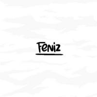 feniz__'s Twitch profile picture