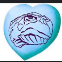 final0p's Twitch profile picture