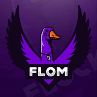 fl0m's Twitch profile picture