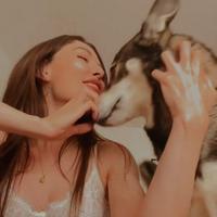 foxenkin's Twitch profile picture