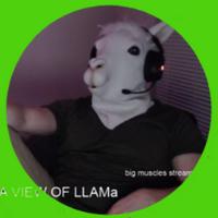 foxyllama's Twitch profile picture