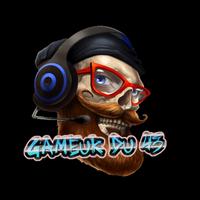 gameur_du_43's Twitch profile picture