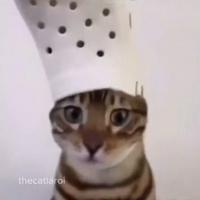 gatito_kwi's Twitch profile picture