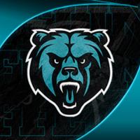 gema4ka's Twitch profile picture