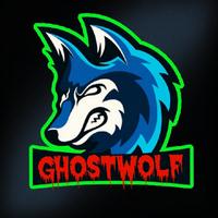 ghostwolf_br's Twitch profile picture