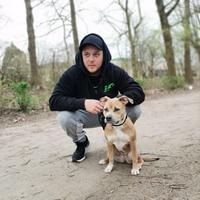 giggsentv's Twitch profile picture