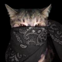 gotyacat's Twitch profile picture