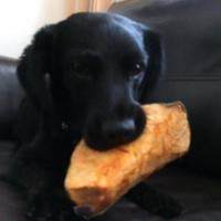 grovalrl's Twitch profile picture