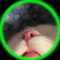 guba's Twitch profile picture