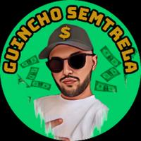 guinchosemtrela's Twitch profile picture