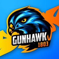 gunhawk1803's Twitch profile picture