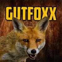 gutfoxx's Twitch profile picture