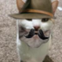 hahahafunnysoso's Twitch profile picture