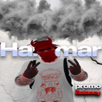 hammar_balancy's Twitch profile picture