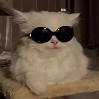 harystz's Twitch profile picture