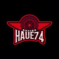 haue74's Twitch profile picture