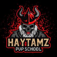 haytamz1's Twitch profile picture
