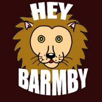 heybarmbyz's Twitch profile picture