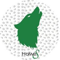 holwes's Twitch profile picture