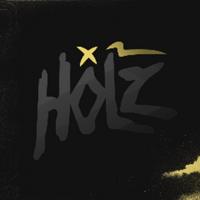 holz's Twitch profile picture